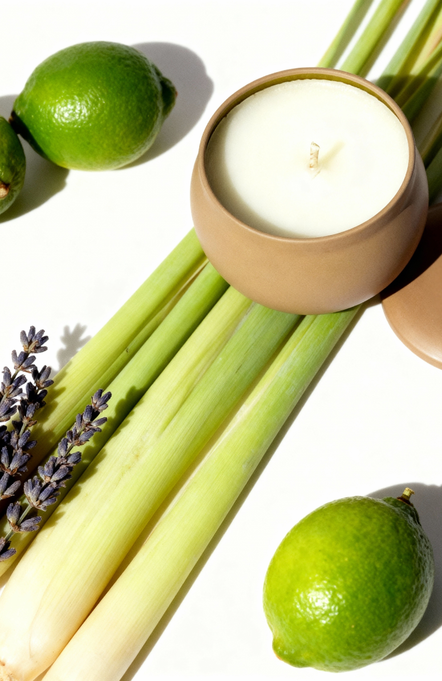 FRESH DISCOVERY CANDLE SET