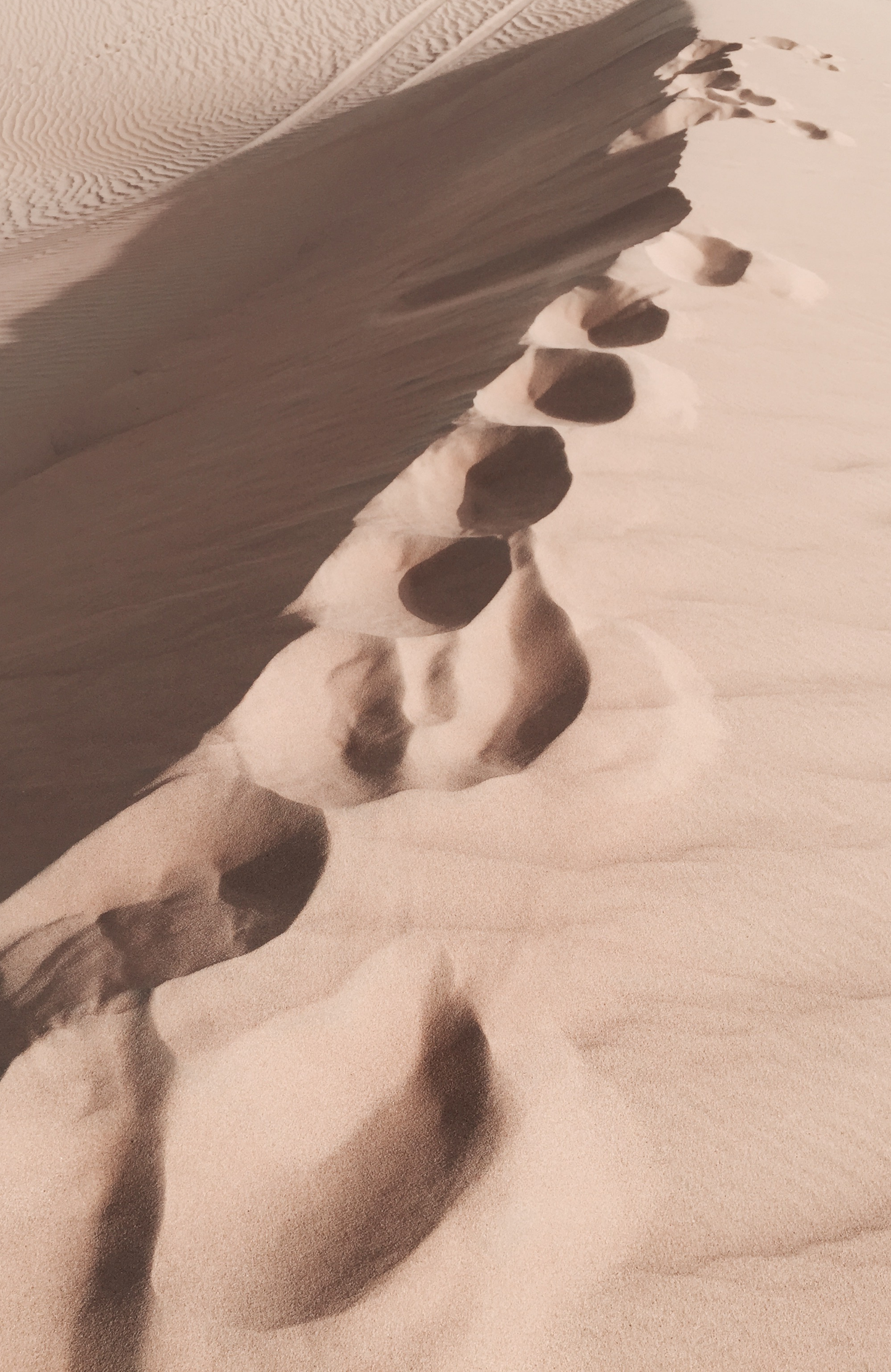 LABDANUM VEIL SCENTED CANDLE WITH WOOD WICK